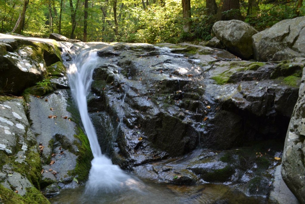 A small waterfall cascading over mossy rocks in a forest