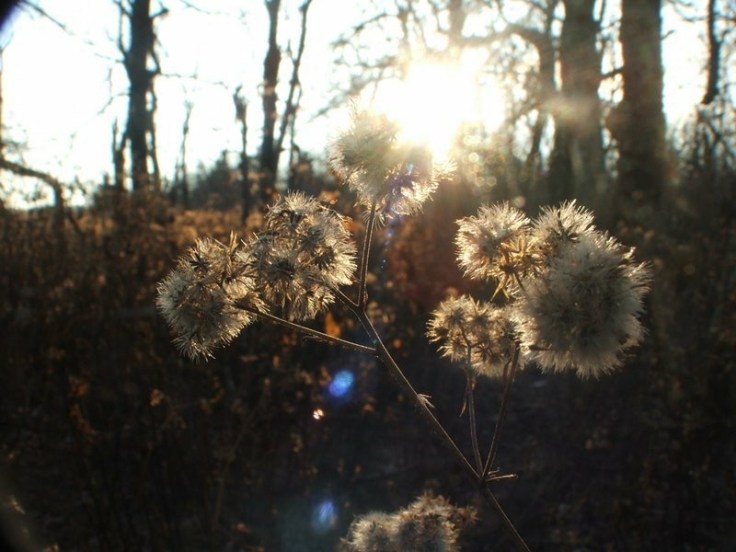 Becoming an Agent of&nbsp;Peace