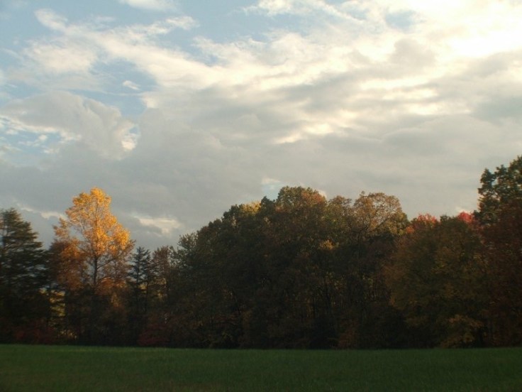 How to be&nbsp;Fulfilled