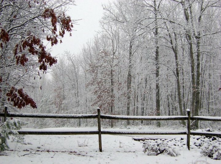 The Father’s Treasures