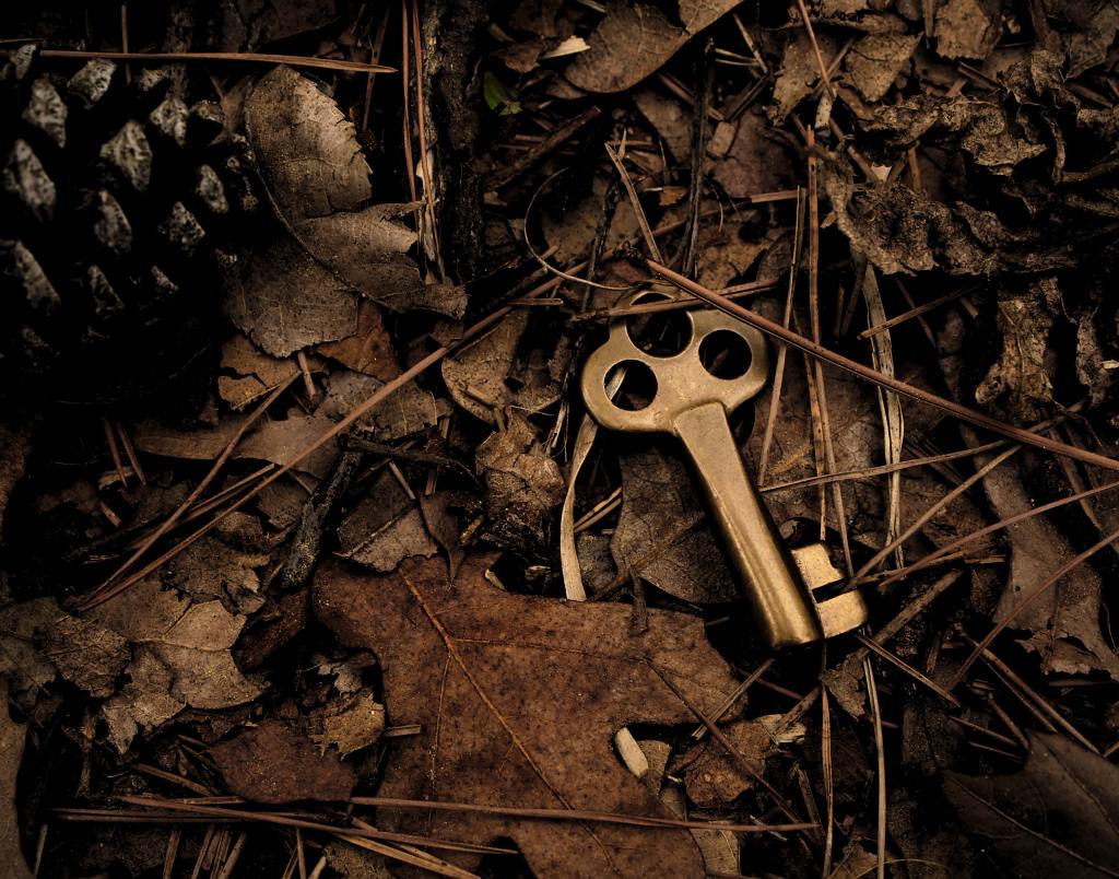 An old metal key lying on dry leaves and pine needles