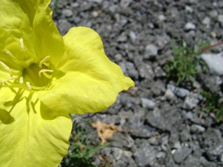 I Already Know God Loves Me. But Do I Really?