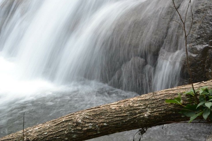 Remember Who You&nbsp;Are