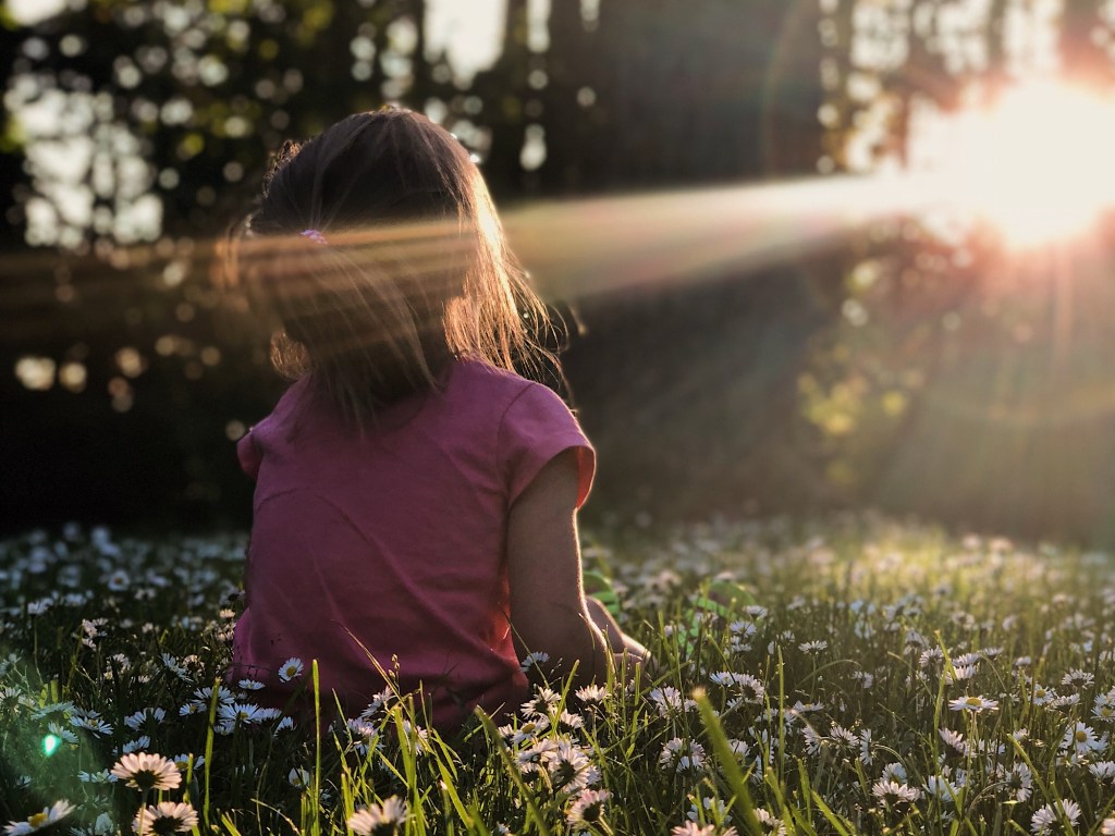 A little girl in a pink shirt sitting in a meadow of wildflowers in the sunlight