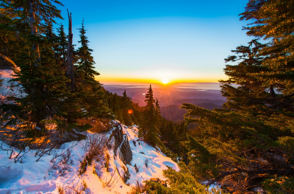 The sun setting between pine trees on a snowy mountainside